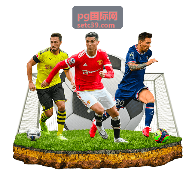 pg国际网 最新平台动态与功能解读